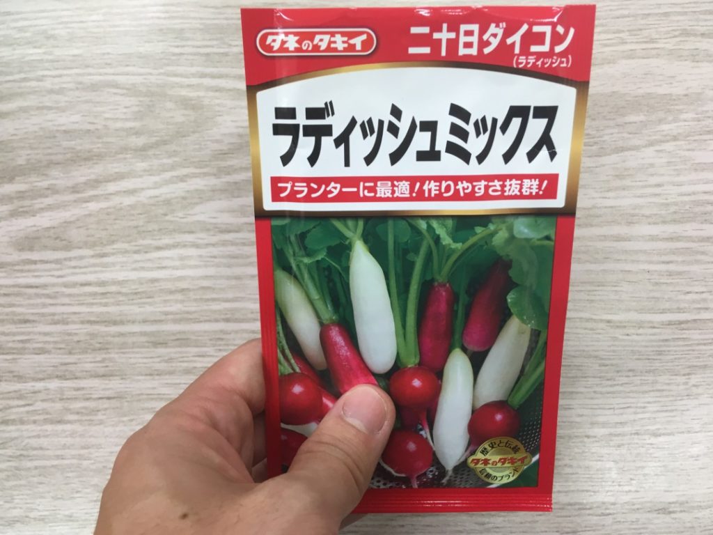 育たない 大きくならない ラディッシュの実践記録 あぐりの野菜作り講座