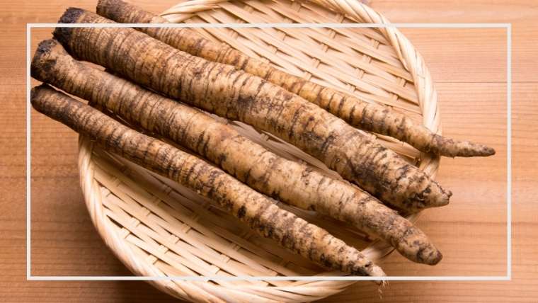 苗の見分け方は 収穫時期は ゴボウ栽培のよくある質問 家庭菜園を極める 初心者からプロまで