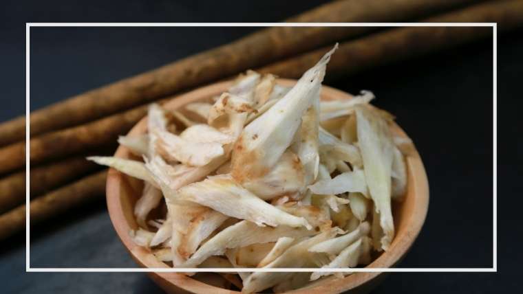 ゴボウの育て方 袋栽培 その方法と収穫 家庭菜園を極める 初心者からプロまで ゴボウの育て方 袋栽培 その方法と収穫 家庭菜園を極める 初心者からプロまで