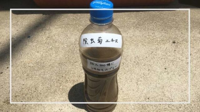 自然農薬 トウガラシの焼酎漬け 作り方と使い方 永久保存版 家庭菜園を極める 初心者からプロまで