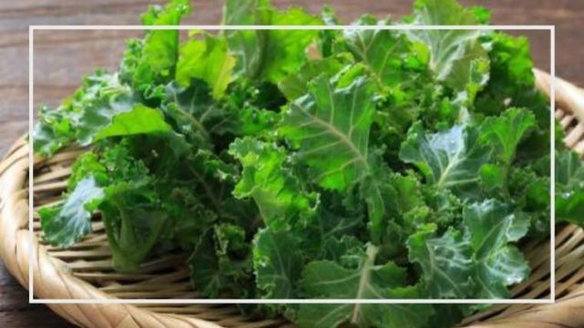 プチヴェールの育て方 栽培方法 家庭菜園を極める 初心者からプロまで