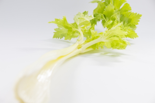 キンサイ スープセロリ オランダミツバ の育て方 栽培方法 家庭菜園を極める 初心者からプロまで