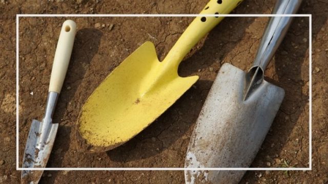 今さら聞けない 移植ゴテって 種類と正しい使い方 家庭菜園を極める 初心者からプロまで 今さら聞けない 移植ゴテって 種類と正しい使い方 家庭菜園を極める 初心者からプロまで